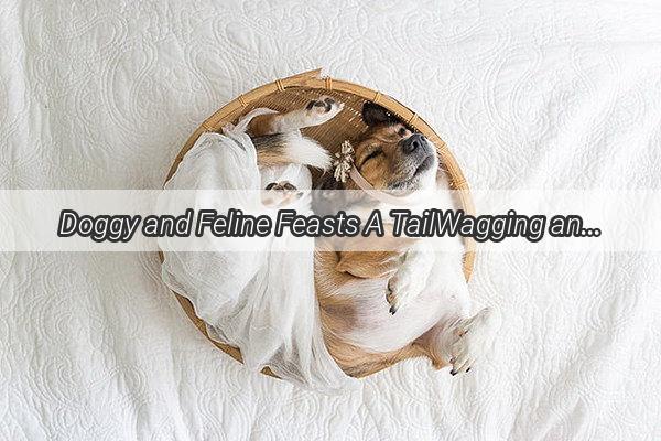 Doggy and Feline Feasts A TailWagging and PurrFect Dining Experience